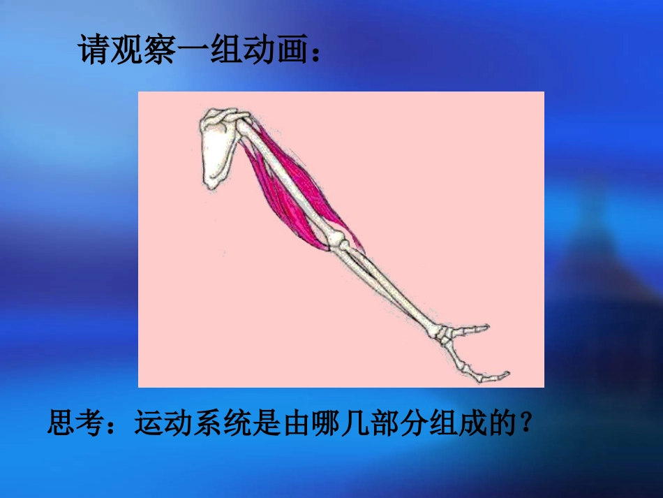 动物运动课件_第3页
