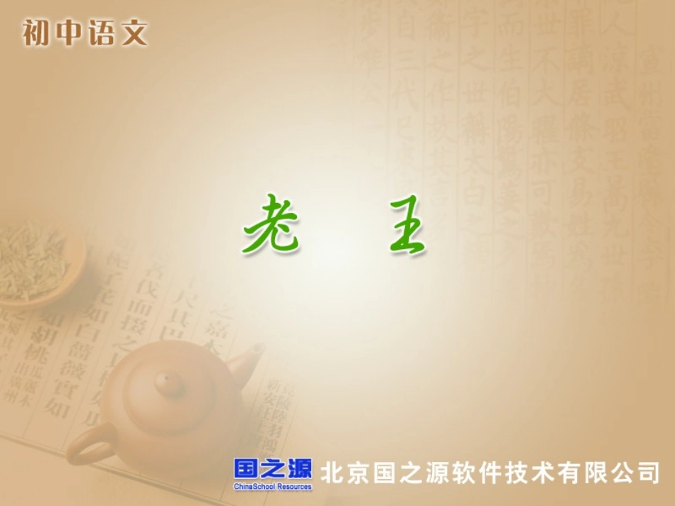 老王 (5)_第1页