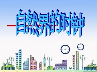自然界的时钟