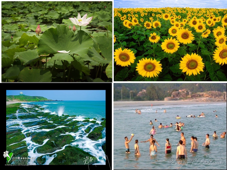 捉迷藏课件2_第2页