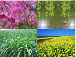 捉迷藏课件2