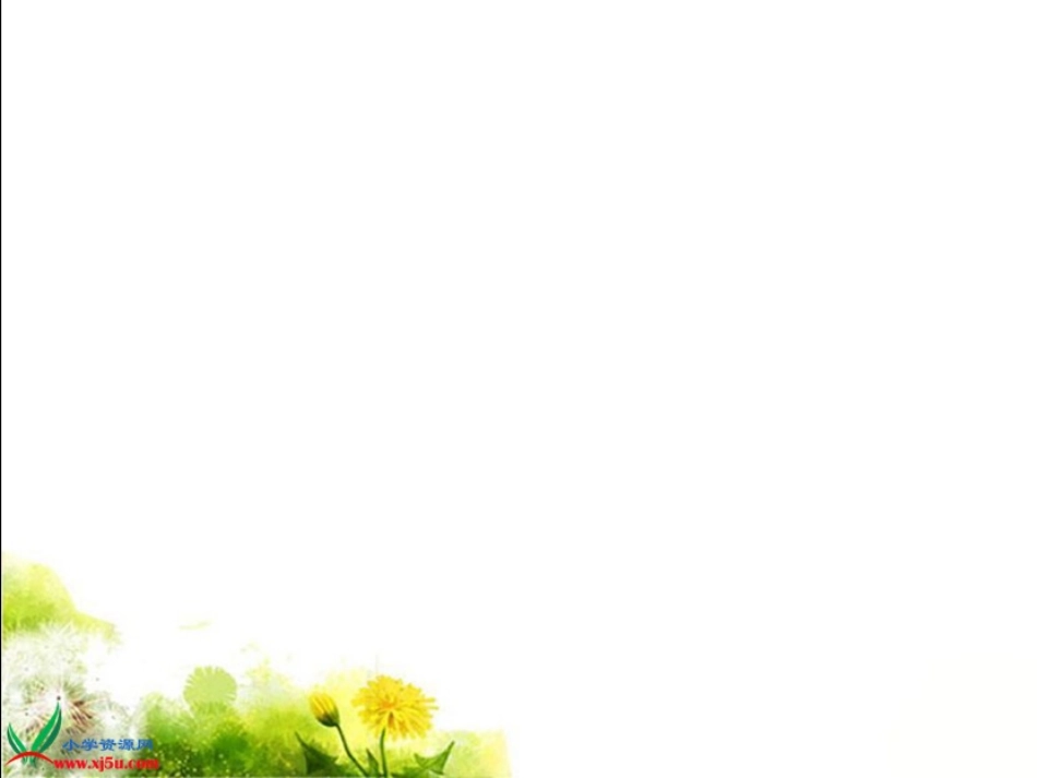 18《广玉兰》PPT课件(苏教版六年级语文下册课件)[1]_第1页