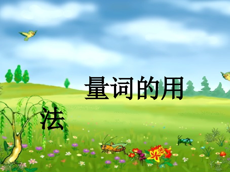 量词PPT课件_第1页