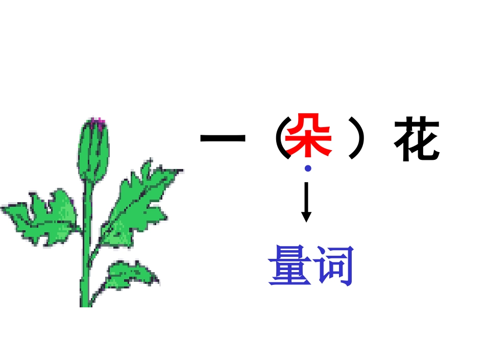量词PPT课件_第2页