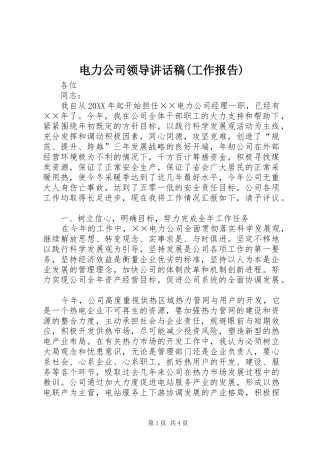 电力公司领导的讲话发言稿(工作报告)