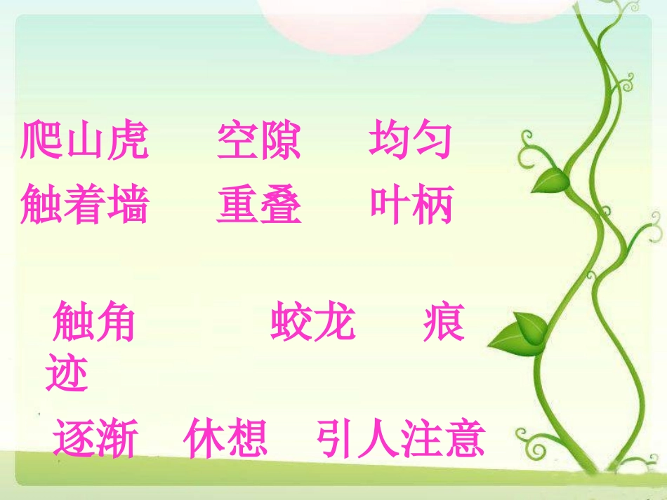 5爬山虎的脚_第2页