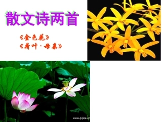 7、《散文诗两首》课件