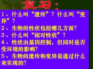 第二节__基因在亲子代间的传递4