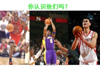 篮球基础知识