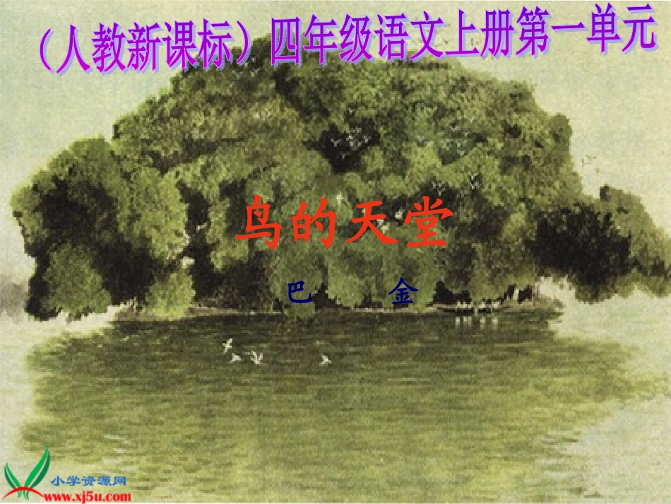 《鸟的天堂》_第1页