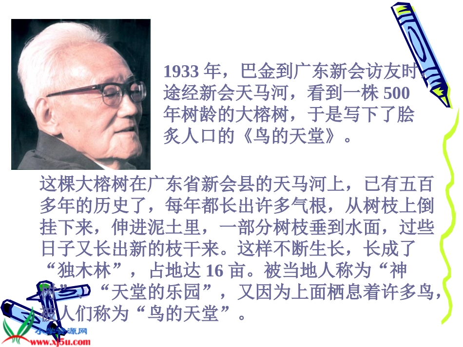 《鸟的天堂》_第2页