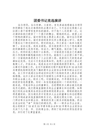 团委书记竞选演讲稿 (3)