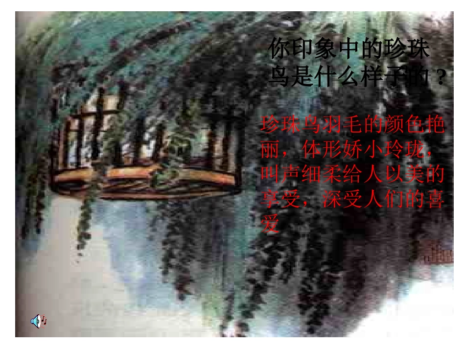 珍珠鸟教学课件_第2页