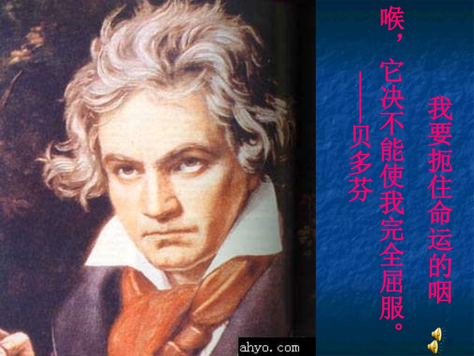 音乐巨人贝多芬_第2页