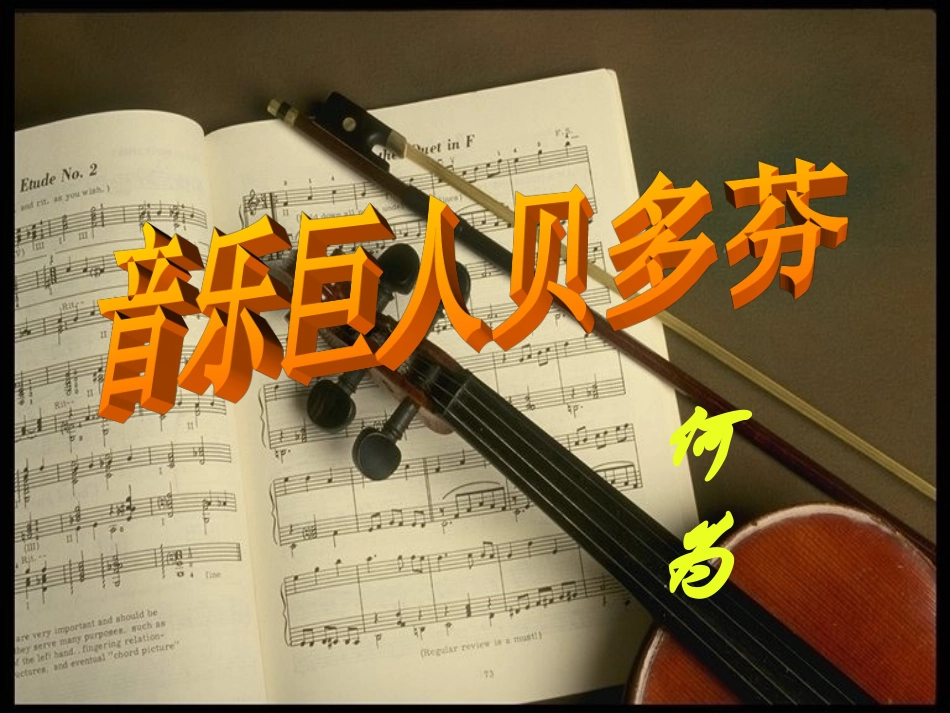 音乐巨人贝多芬_第3页