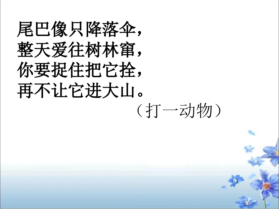 6《那只松鼠》_第3页