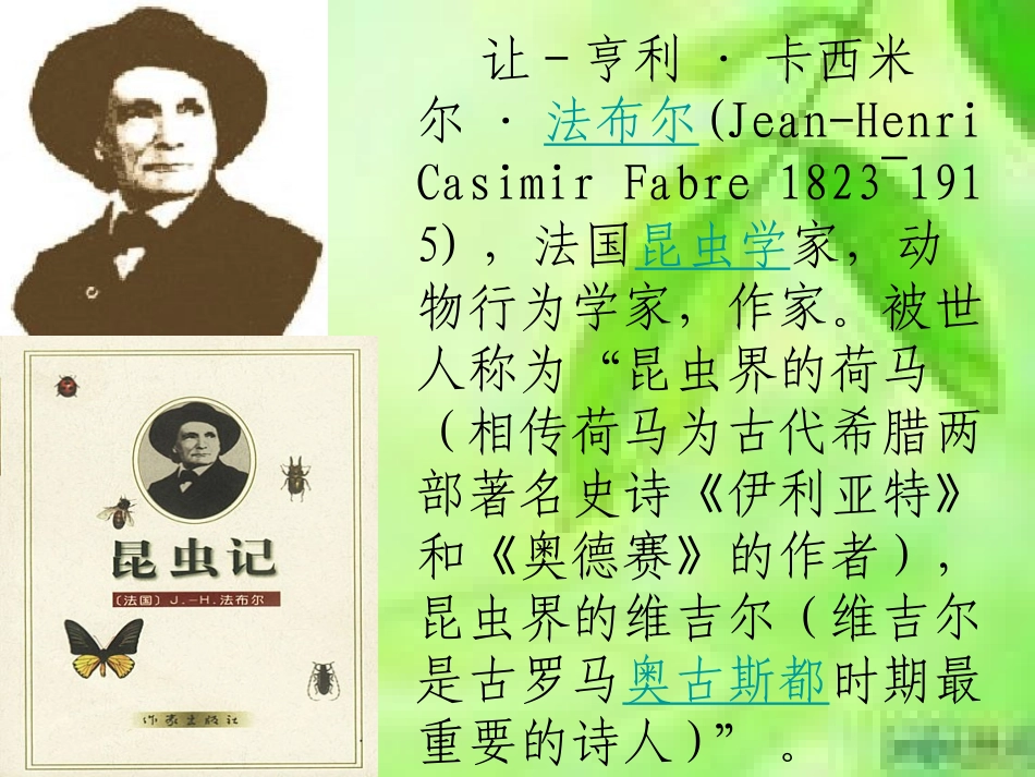 9大孔雀蛾的晚会_第2页