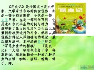 9大孔雀蛾的晚会
