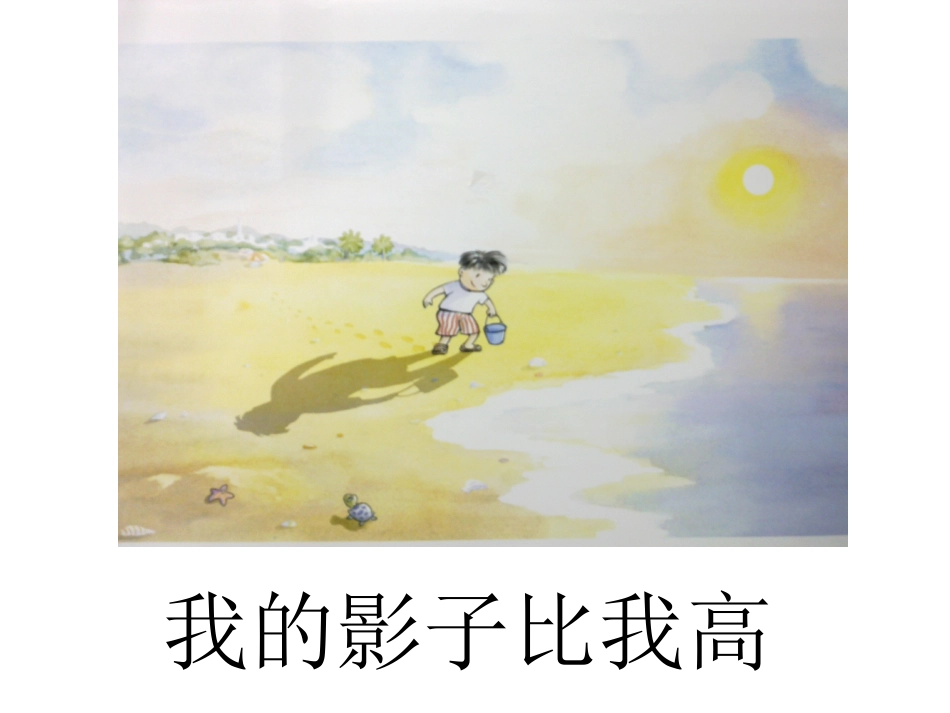 绘本—我的影子_第2页