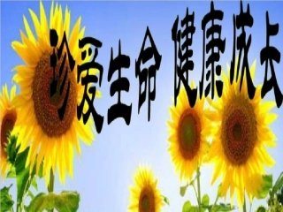 防踩踏安全教育