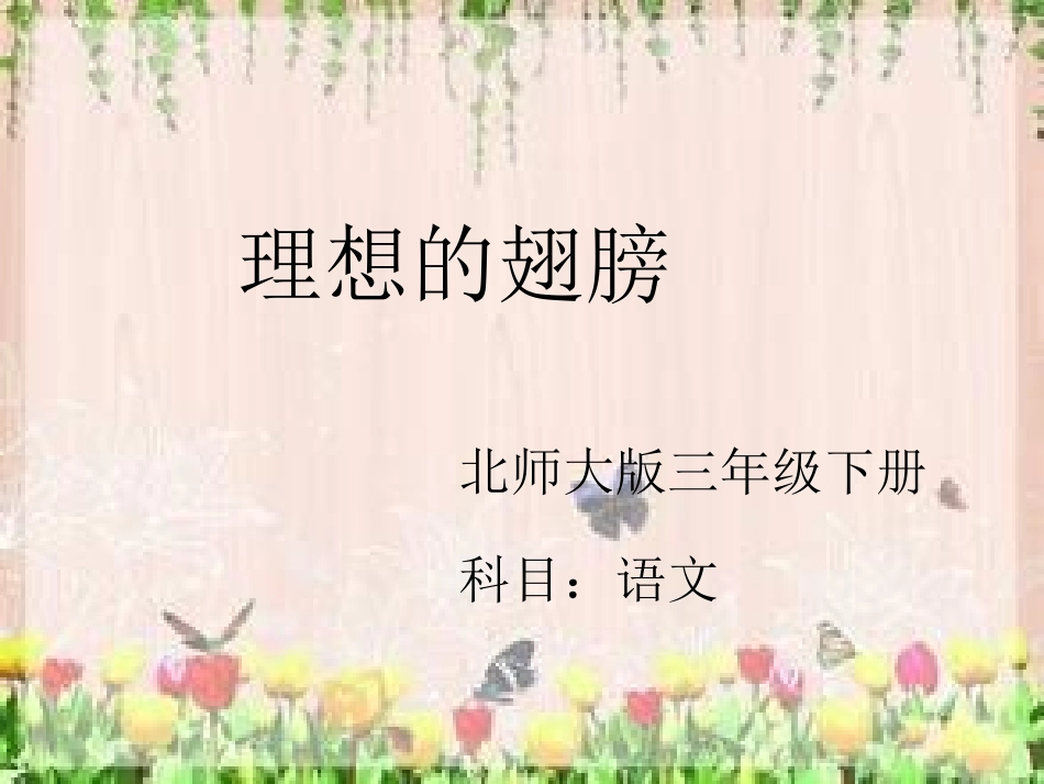 理想的翅膀课件_第1页