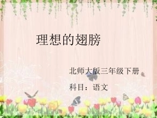 理想的翅膀课件