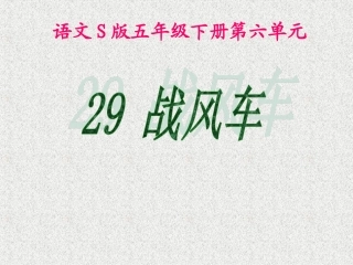 29战风车 (2)