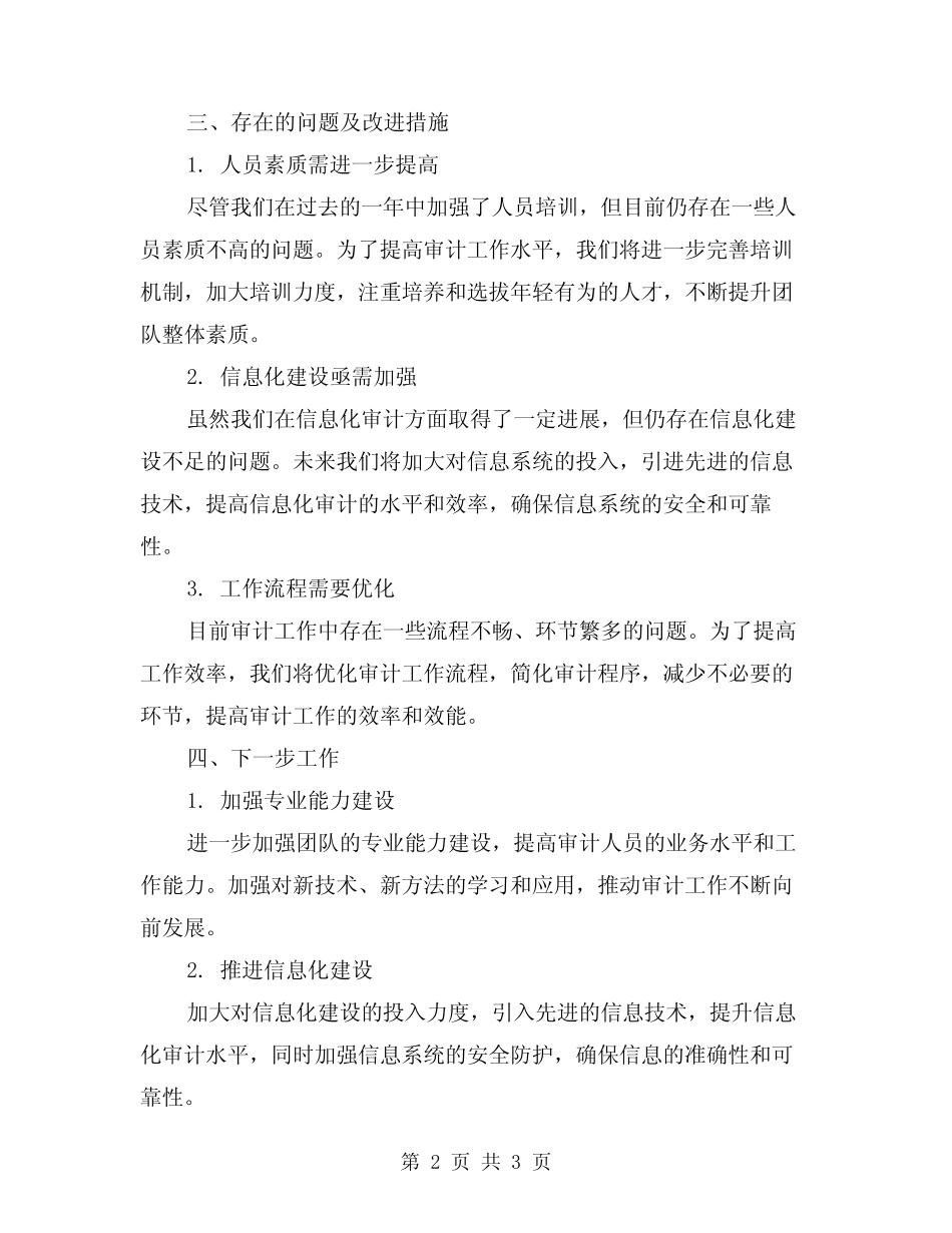 2024年审计处工作总结范文_第2页