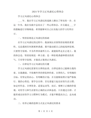 2024年学习正风肃纪心得体会 