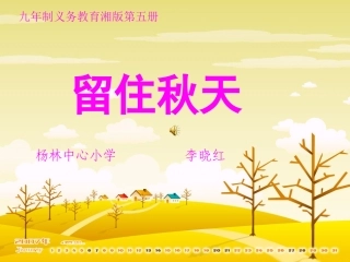 留住秋天课件