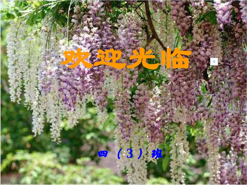 诚信班会教案_第1页