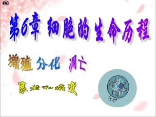 6-1细胞增殖（一）