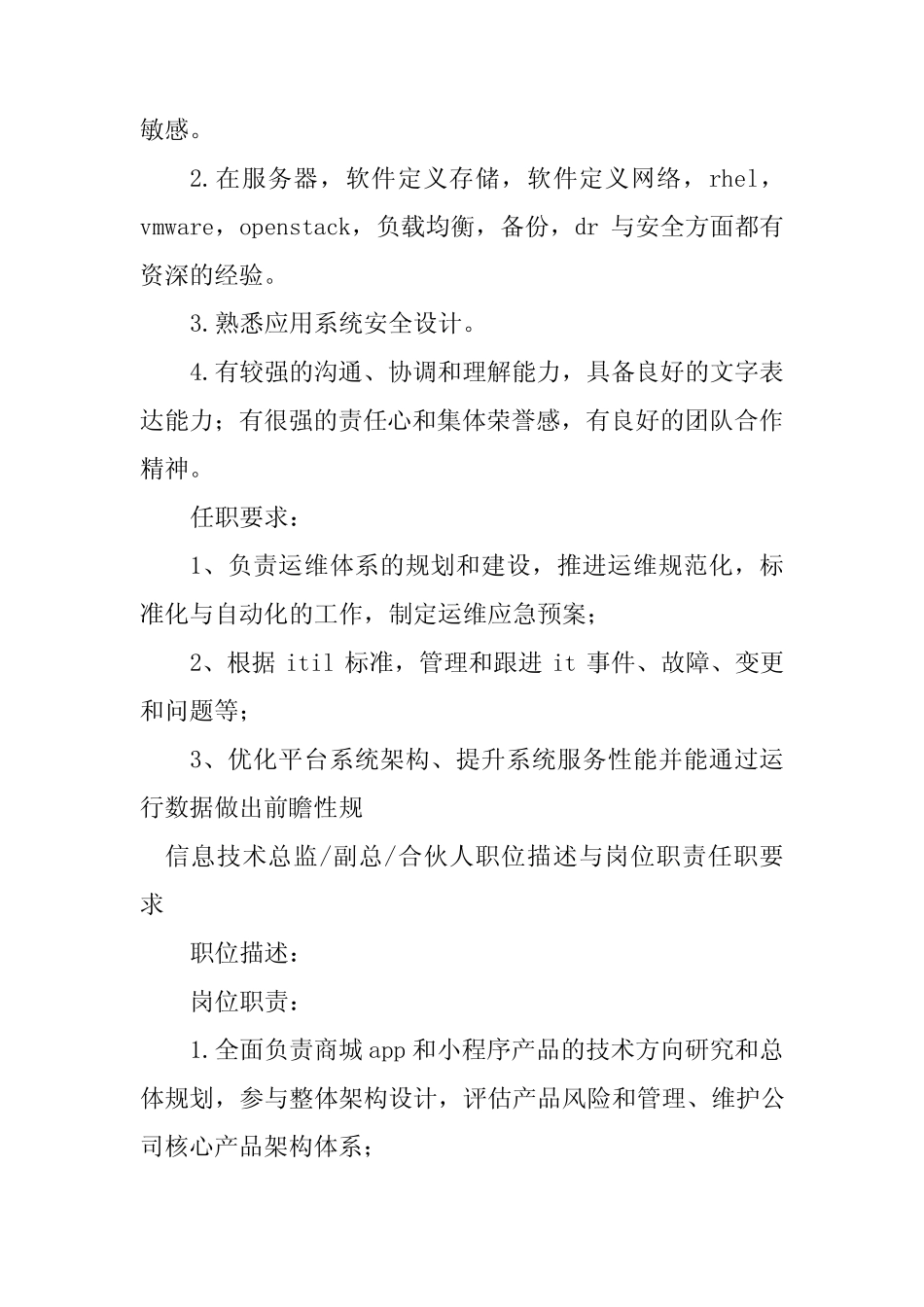 2024年信息技术总监岗位职责7篇 _第2页