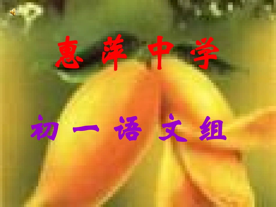 凡尔塞宫课件_第1页