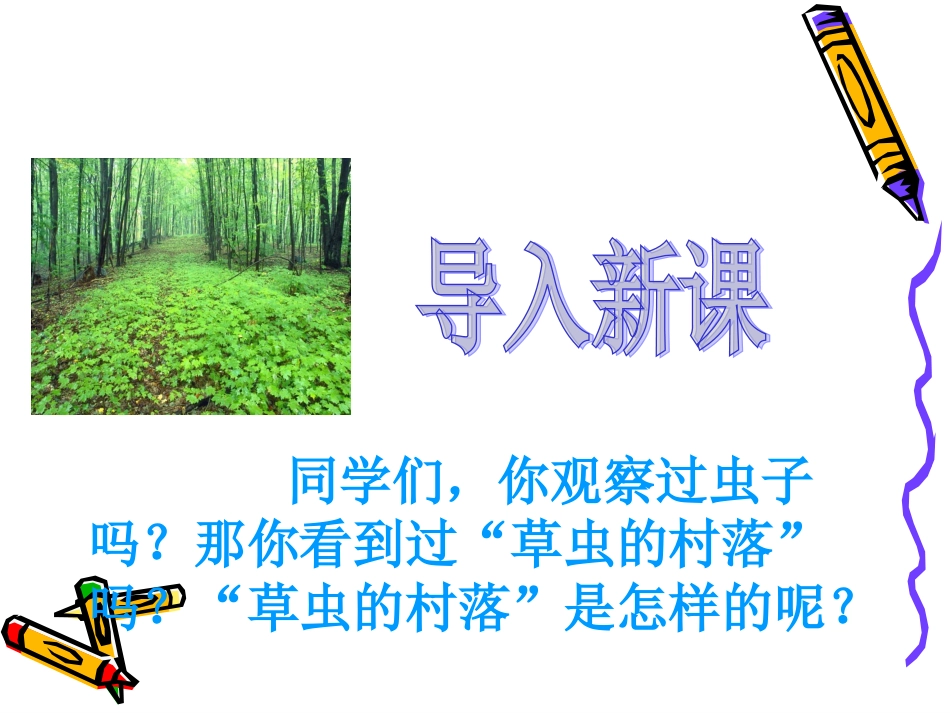 3草虫的村落课件 (3)_第2页