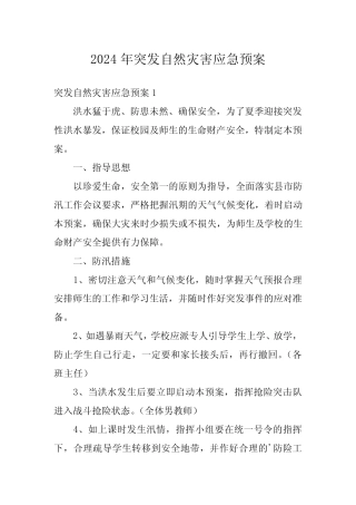 2024年突发自然灾害应急预案