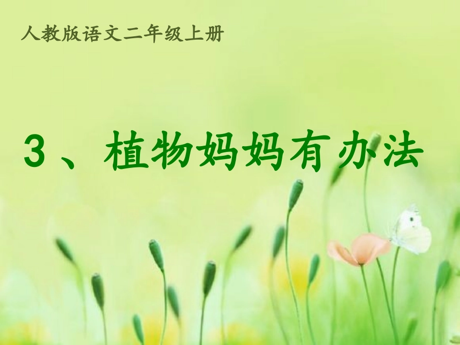 杨华比赛课件_第2页