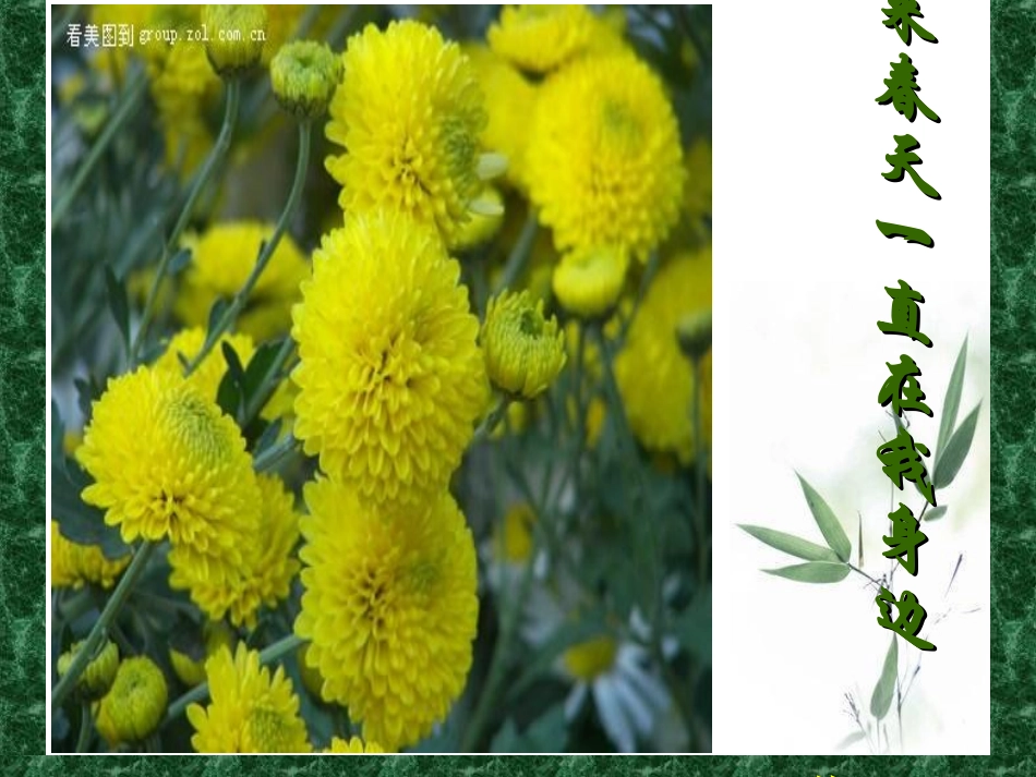 原来春天讲评_第1页