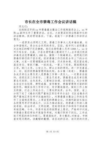 市长在全市禁毒工作会议讲话发言稿