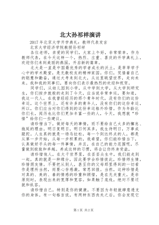 北大孙祁祥演讲稿