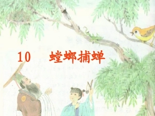 螳螂捕蝉课件1