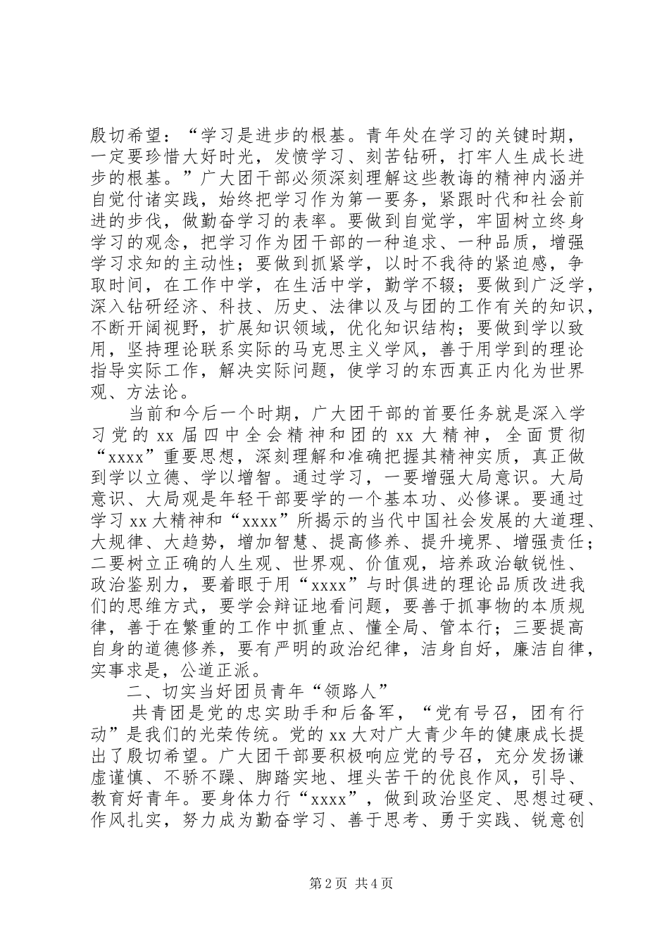 在市共青团干部大会上的书记讲话发言稿_第2页