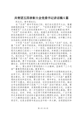 共青团五四表彰大会党委书记讲话发言稿5篇