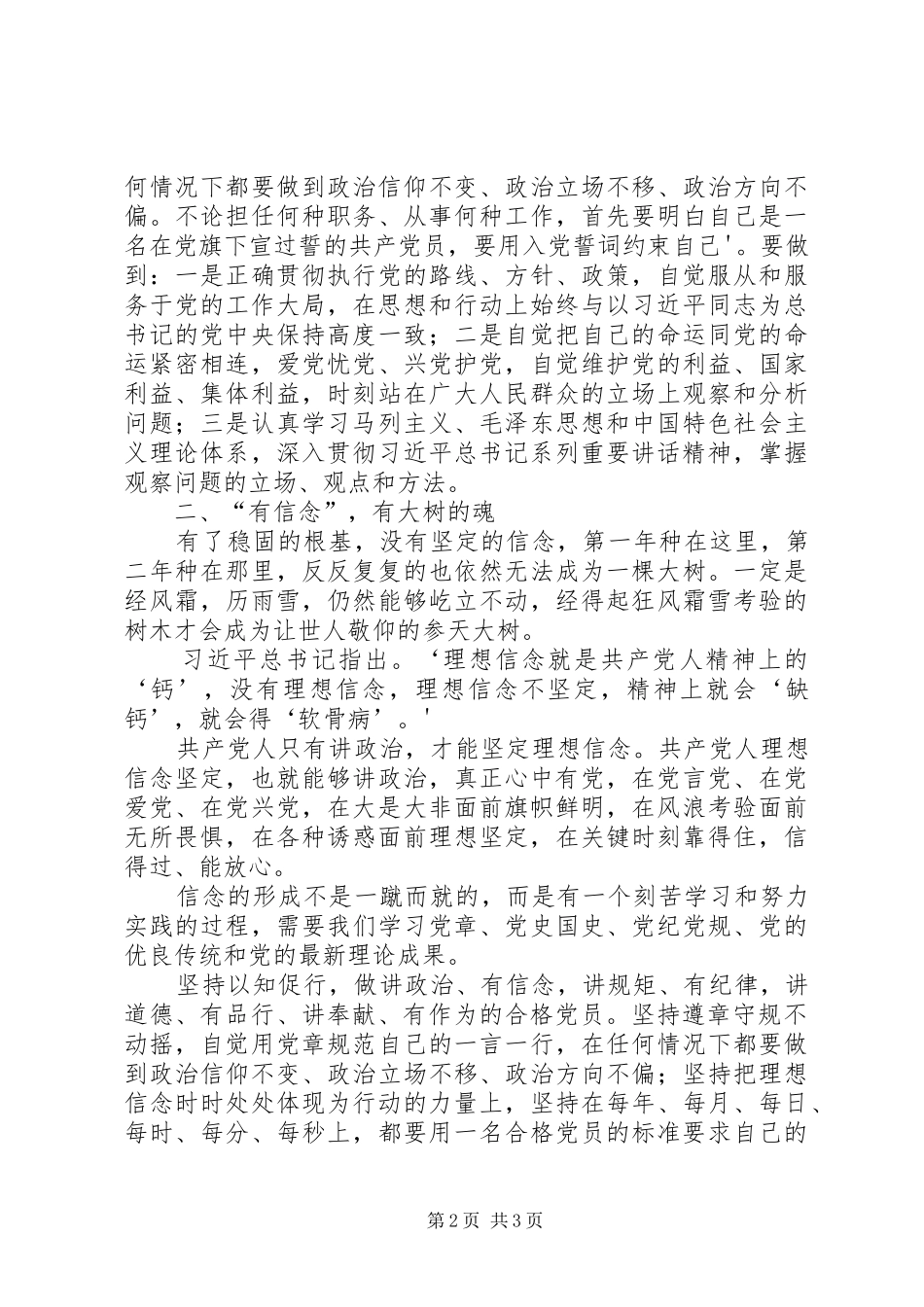 “政治有信念”专题学习讨论会讲话发言稿：做讲政治有信念的合格党员_第2页