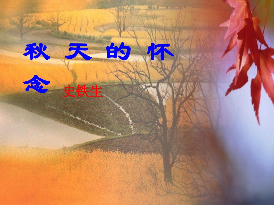 《秋天的怀念》_第1页
