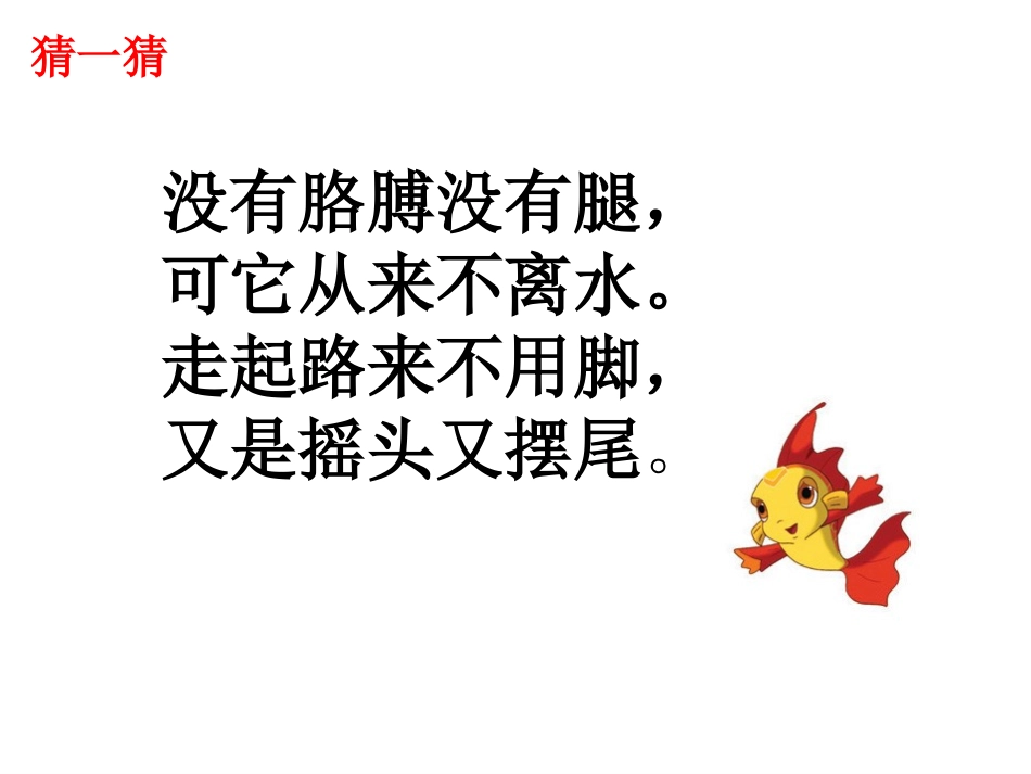 海底世界课件_第1页