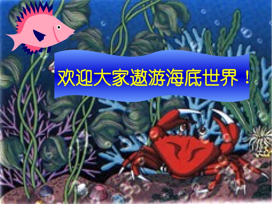 海底世界课件_第3页