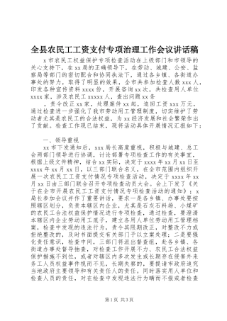 全县农民工工资支付专项治理工作会议讲话发言稿