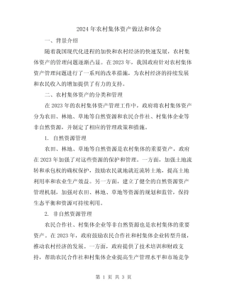 2024年农村集体资产做法和体会