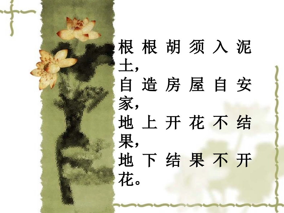 落花生pp刘玉洁_第1页